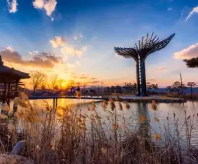 Daegu